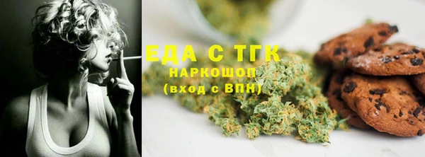 молекула духа Вяземский