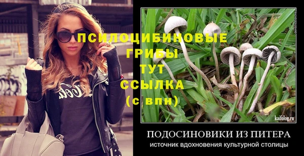 дживик Горно-Алтайск