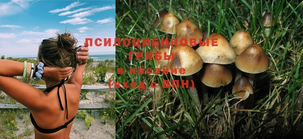 дживик Горно-Алтайск