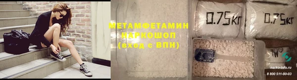 молекула духа Вяземский