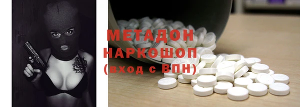 молекула духа Вяземский