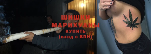молекула духа Вяземский