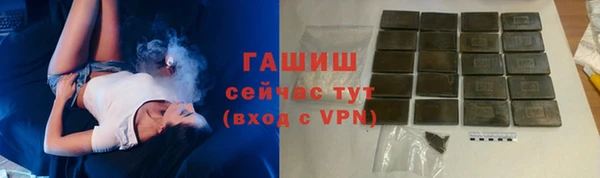 гидра Горнозаводск