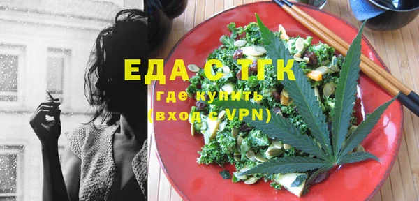 молекула духа Вяземский