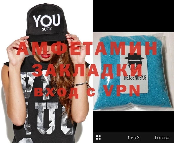 молекула духа Вяземский