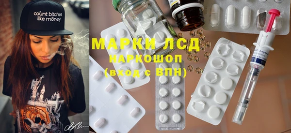 молекула духа Вяземский