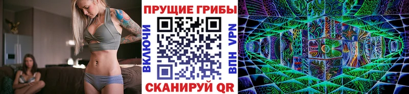 Купить  Струнино  Псилоцибиновые грибы Psilocybine cubensis 